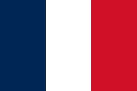 Flag_of_France | ENDOVASCULAR MLCTO